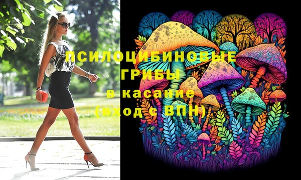 сатива Баксан
